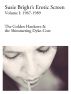 The Erotic Screen: The Golden Hardcore & The Shimmering Dyke-Core by Susie Bright