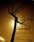 Cursed, Book One of The Devils Roses by Tara Brown