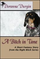 A Bitch in Time cover