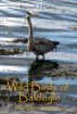 Wild Birds of Baldoyle - An Introduction by michael.j hurley