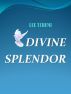 Divine Splendor by Lee Tchumi