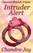 Special Branch Trysts: Intruder Alert by Chandra Jay