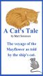 A Cat's Tale by Matt Sorensen