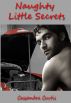 Naughty Little Secrets by Cassandra Curtis