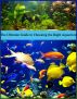 The Ultimate Guide to Choosing The Right Aquarium - Learn the difference before you buy. by Stephen Conroy