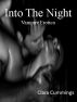 Into The Night by Clara Cummings