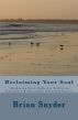 Reclaiming Your Soul: Working With the Mystery by Brian Snyder