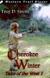 Cherokee Winter by Troy D. Smith