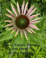 Cover for 'Poems, Prayers, Protests And Stories'
