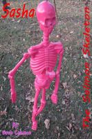Cover for 'Sasha the Salmon Skeleton'