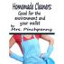 Homemade Cleaners: Good for the Environment and Your Wallet by Hot Tropica Books 
