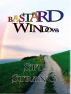 Bastard Windows by Stu Strang