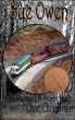 A Basketball, a Storm Drain, and a Choo Choo Train by Sue Owen -Paper Mustang