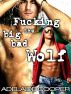 Fucking the Big Bad Wolf (Gay Erotic Fairy Tales #1) by Adelaide Cooper