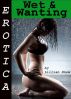 Erotica: Wet & Wanting, Tales of Sex by Lillian Snow