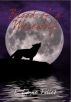 Blood of a Werewolf (Book 1 in Blood Series) by T. Lynne Tolles