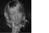 Take My Advice I Don't Use It Anyway by Tammy Haldeman