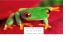 The Adventures of Freddy Frog and Nigel Newt by braden jones