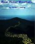 Bear Holler Mountain by Victor L. Vining