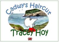 Cover for 'Cadwy's Haircut'