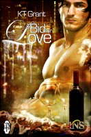 Cover for 'A Bid for Love'