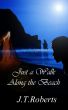 Just a Walk Along the Beach by J.T. Roberts