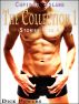 Cupid's Island: The Collection One '4 Stories in 1' (Gay Erotica) by Dick Powers