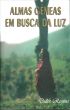 Almas GÃªmeas em Busca da Luz by Dulce Regina