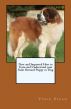 New and Improved How to Train and Understand your Saint Bernard Puppy or Dog by Vince Stead