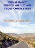 The DMPWTC SERIES-Trusting Completely by Charlotte D. Hunt
