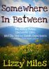 Somewhere In Between:  The Hokey Pokey, Chocolate Cake and The Shared Death Experience by Lizzy Miles
