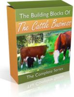 Cover for 'The Building Blocks of the Cattle Business: The Complete Series'