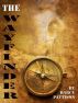 The Wayfinder by Darcy Pattison