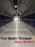 Not Quite Normal by Shane Rynhart