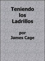 Cover for 'Teniendo los Ladrillos'