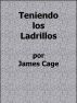 Teniendo los Ladrillos by James Cage