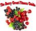 The Berry Great Fitness Guide by Steve Levy