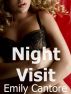 Night Visit by Emily Cantore