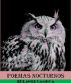 Poemas nocturnos by erlantz gamboa