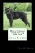 How to Train your Cane Corso Dog to be Good by Vince Stead