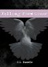 Falling From Grace (Grace Series #1) by S.L. Naeole