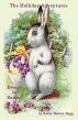 The Holliday Adventures: Escape to Easter by Kathy Sattem Rygg
