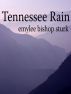 Tennessee Rain by Emylee Bishop Sturk