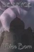 Twice Born by L.E. Bryce