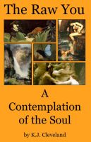 Cover for 'The Raw You:  A Contemplation of the Soul'