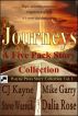 Journeys: A Five Pack Story Collection by Wayne Press