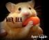 Mur Deh by Amy Laine 