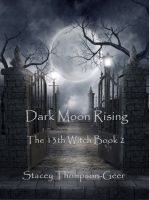 Cover for 'The 13th Witch: Dark Moon Rising'