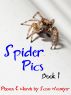 Spider Pics: Book 1 by Scott Neumyer