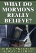 What Do Mormons Really Believe by John Ankerberg
